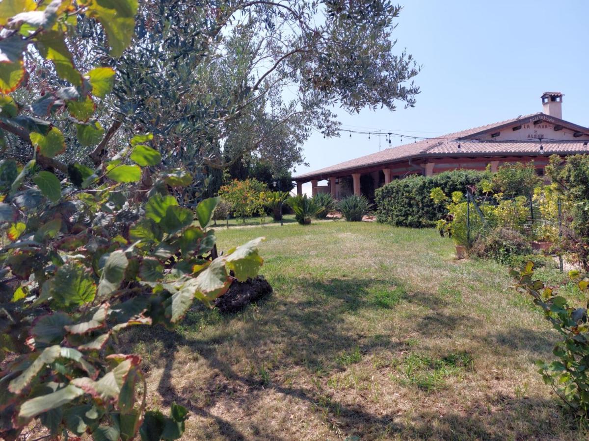 La Piana Di Alsium Βίλα Ladispoli Εξωτερικό φωτογραφία