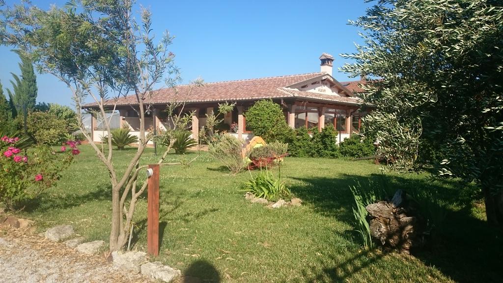 La Piana Di Alsium Βίλα Ladispoli Εξωτερικό φωτογραφία